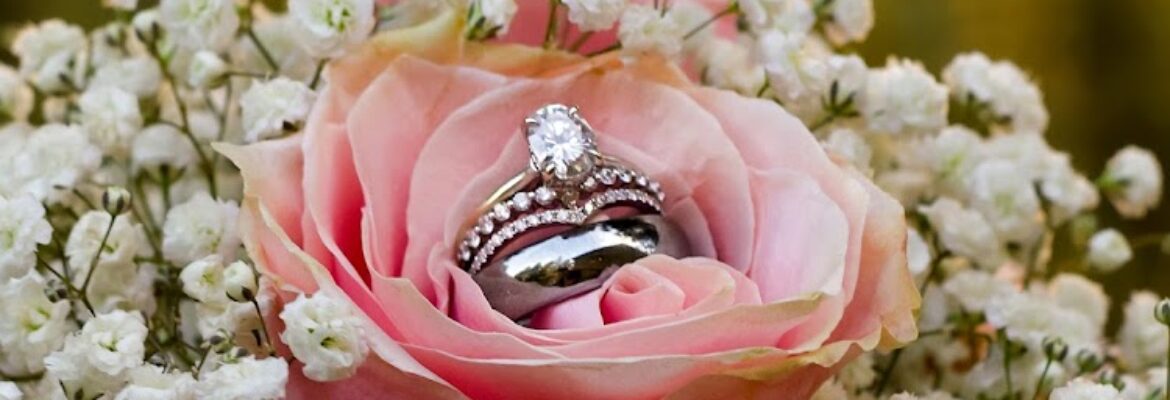 Baylee J. Barnett Creations