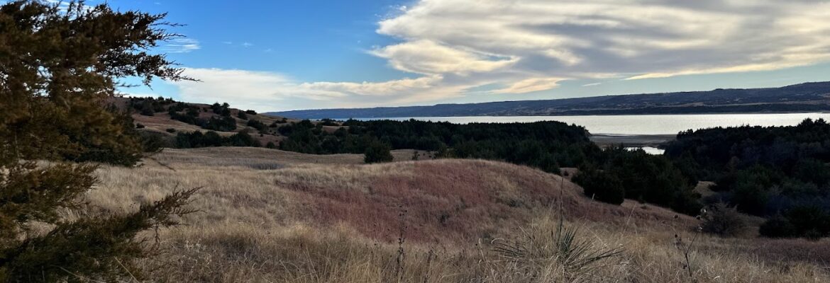 Ascending Innovations LLC