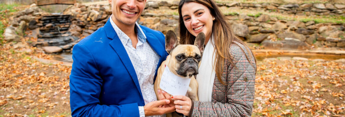 David Edward Photography and Videography