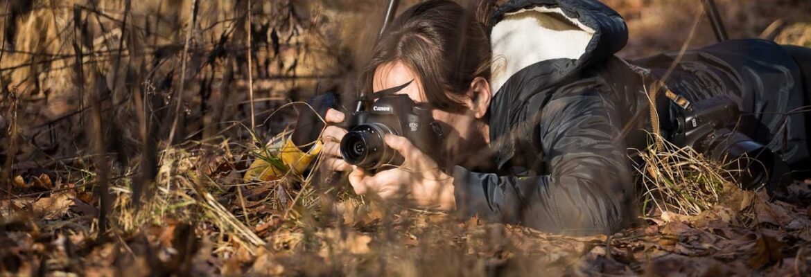 Pamela Anticole, Photographer
