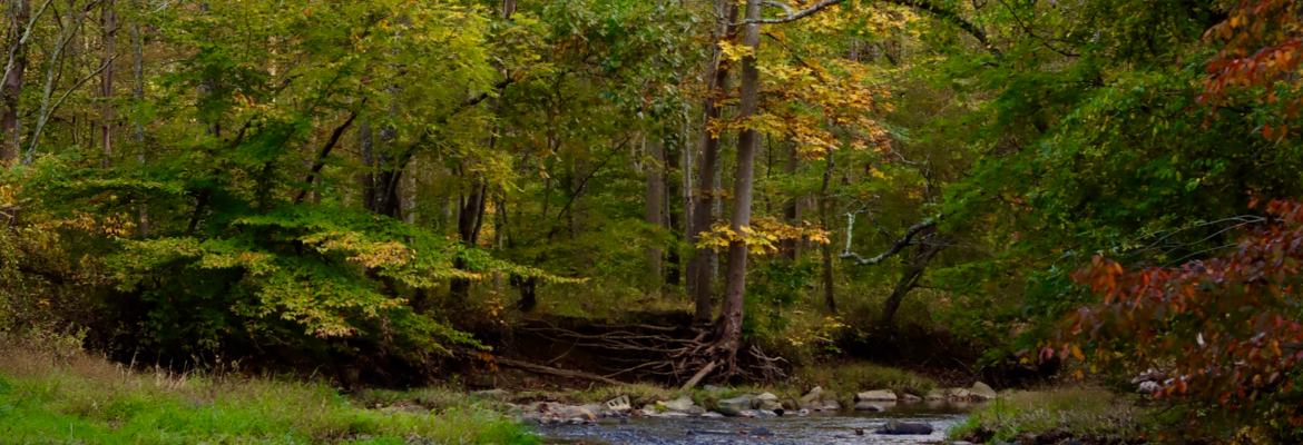 Hannah Vacovsky Photography