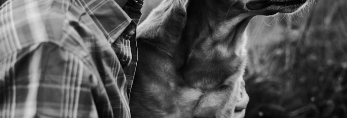 JustuScapes Photography LLC