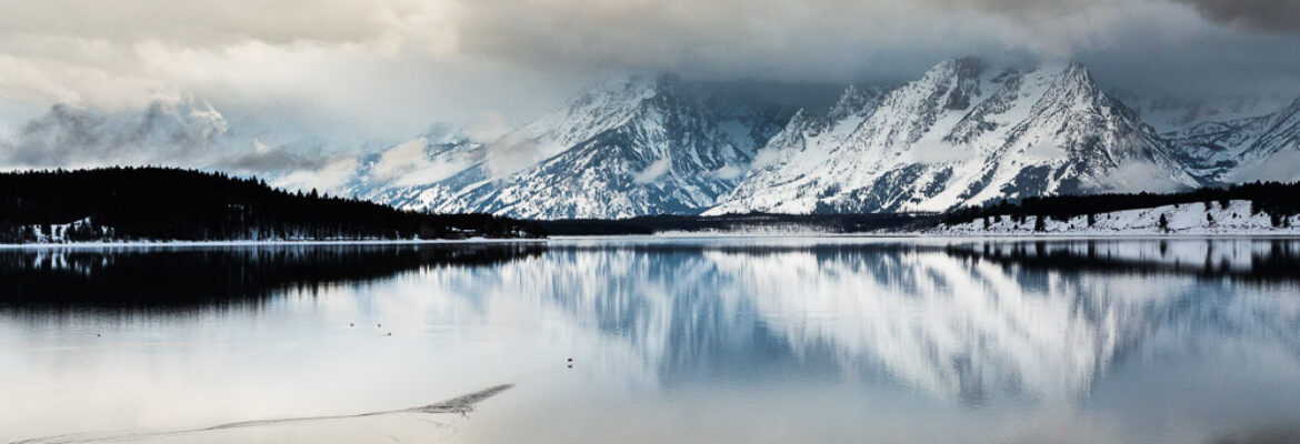 Free Roaming Photography