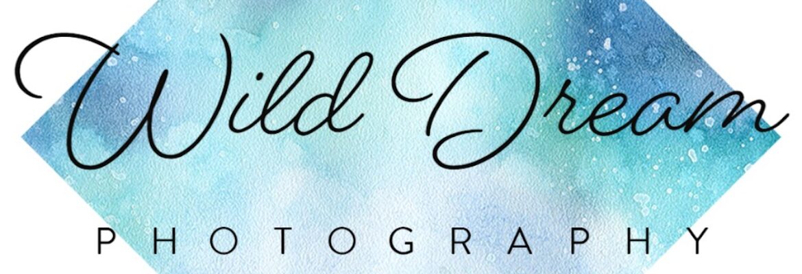 Wild Dream Photography, LLC