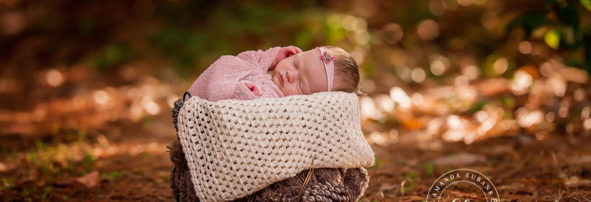 Amanda Eubank Photography