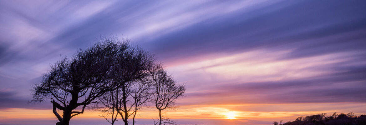 Kate Silvia Photography