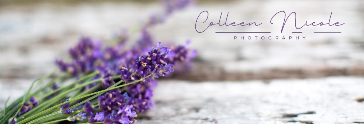 Colleen Nicole Photography