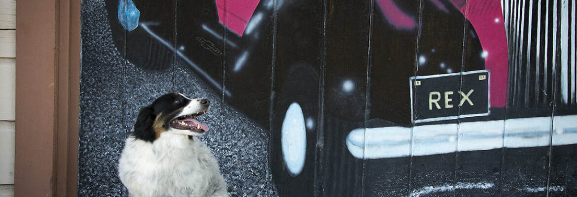 Kennedy Fine Art Photography