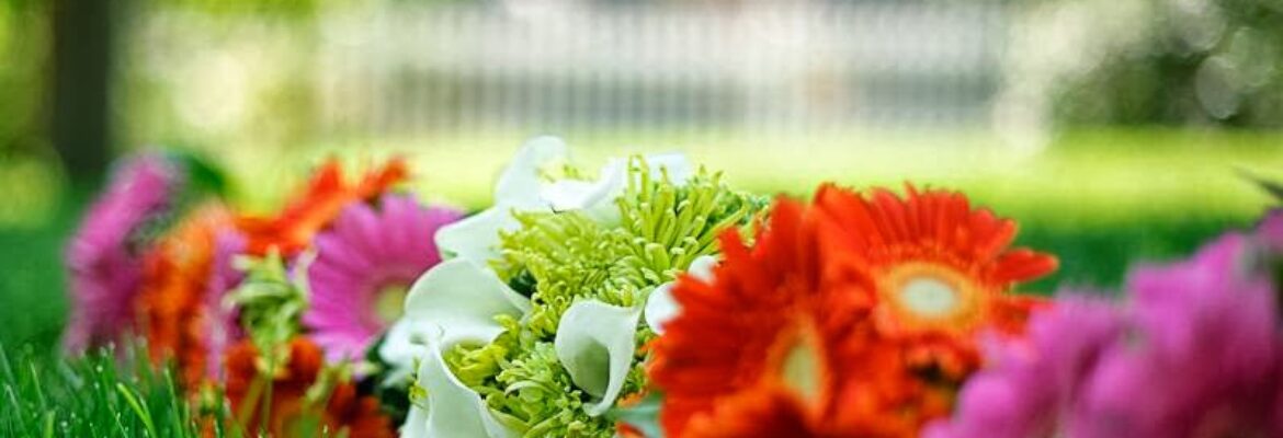 Jeremy Bischoff Photography