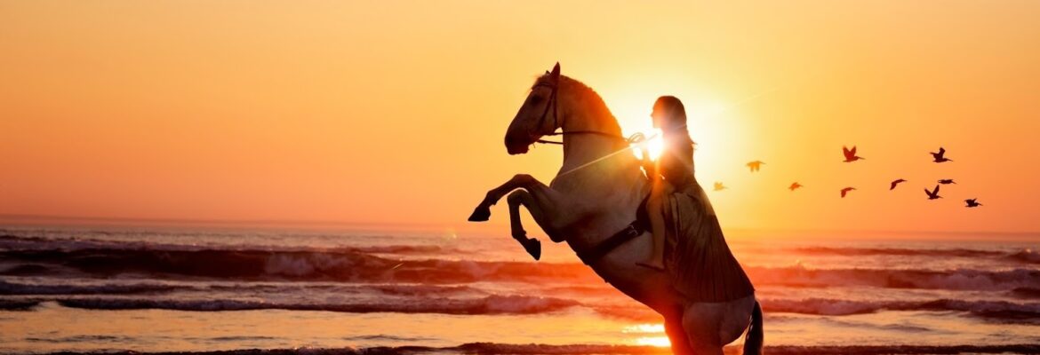 Jessica Farren Photography