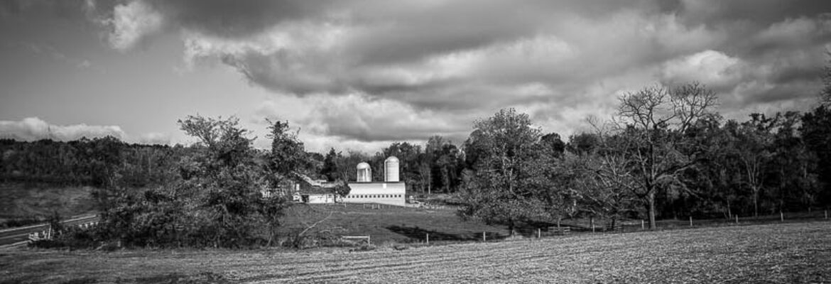 Nathan Grumbine Photography