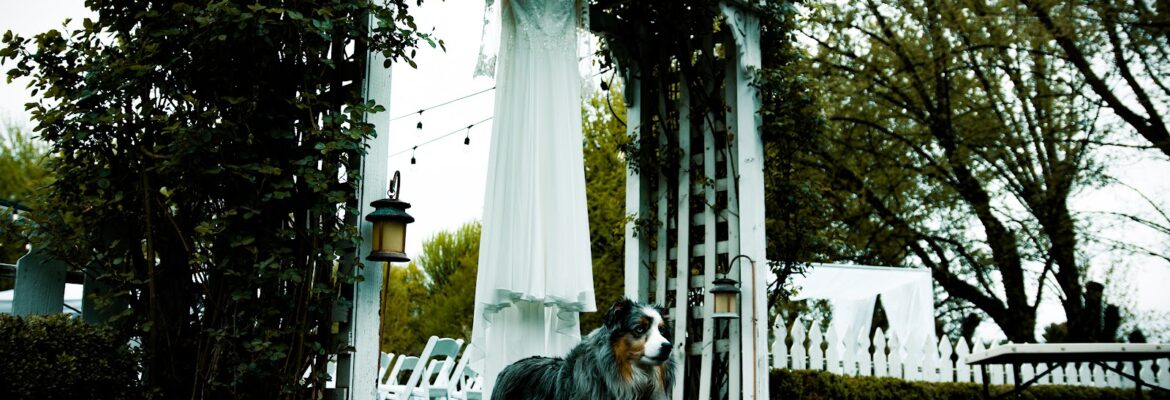 Aaron James Weddings