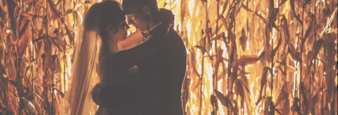 Steve Bowman Photography