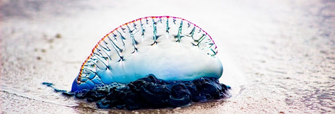 The Wright Memories Photography LLC