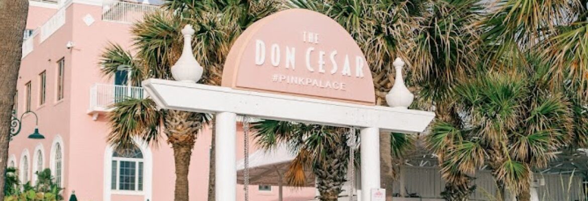 Amber Yonker Photography Tampa, Florida