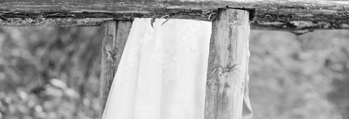 Kelly Cook Photography