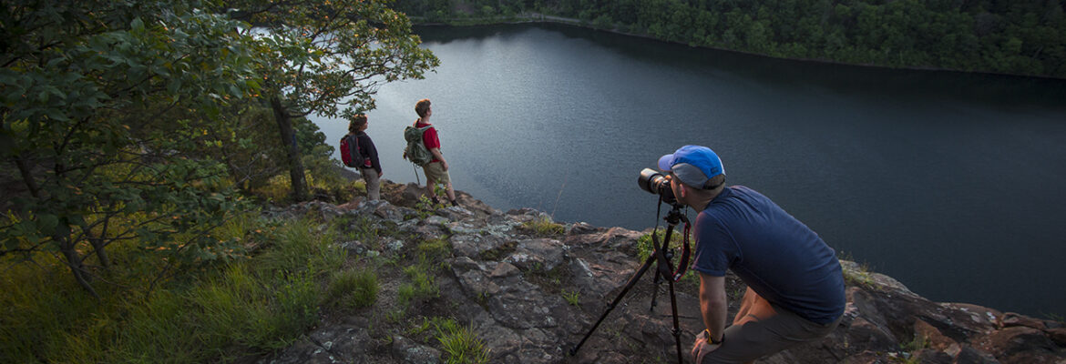 Rooted in Light Media