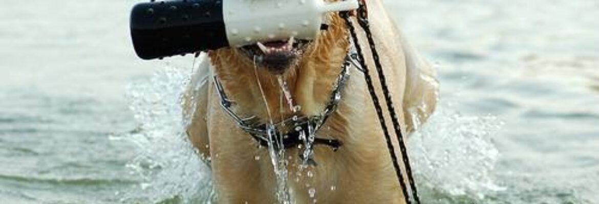 Perceptions Photography