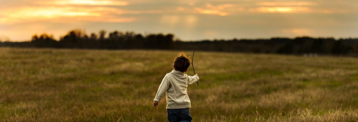 Lisa Schueneman Photography