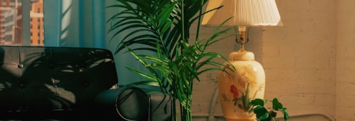 Zara Visuals
