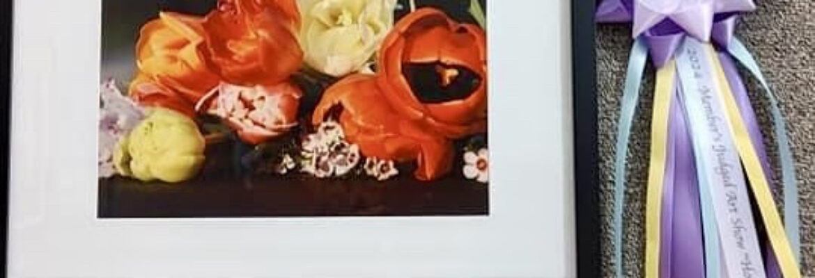 Altered Life Photography