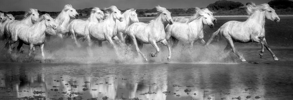 Debby Thomas | Photography & Art