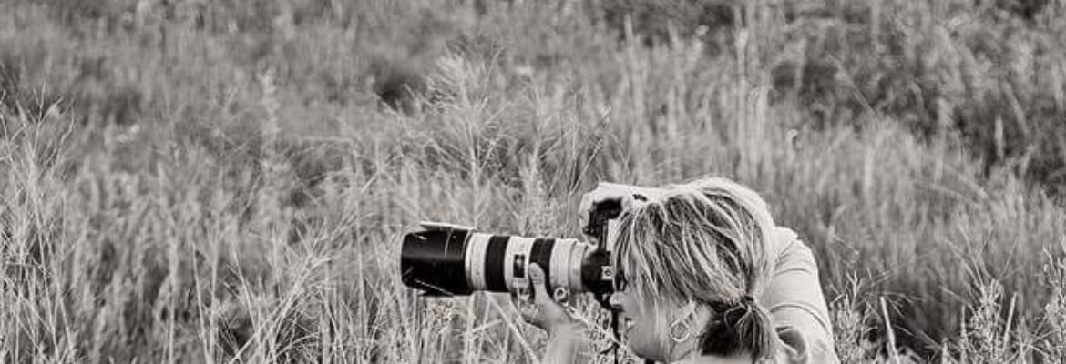 Holly Troxel Photography