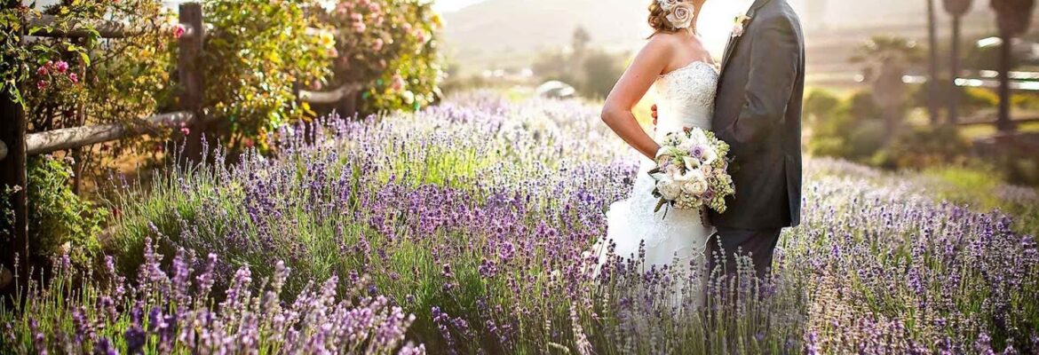 David Champagne Photography