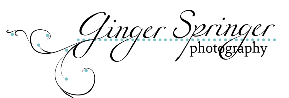 Ginger Springer Photography