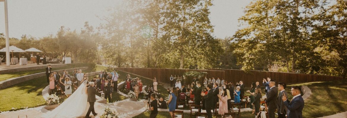 Paper Airplanes Photography – International Photographers