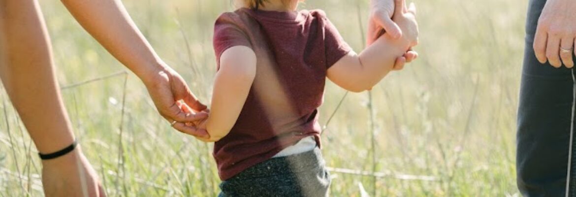 Allison Andres Photography