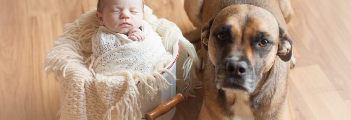 ShayLeigh Photography