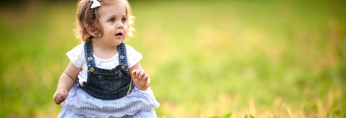 Seibert Studios Photography