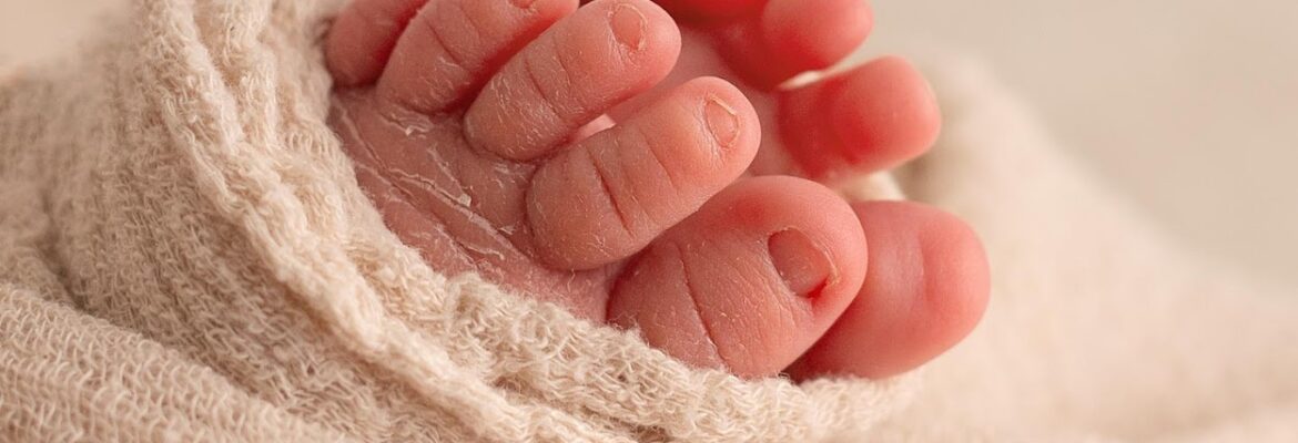 Stargazer Photography