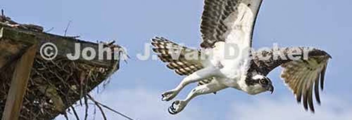 John Van Decker, Photography