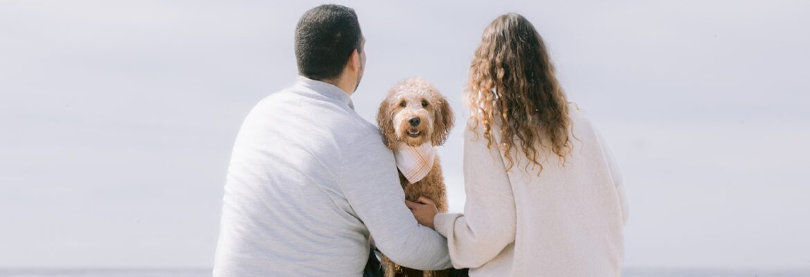 Photogra-V • Dog and Family Photography