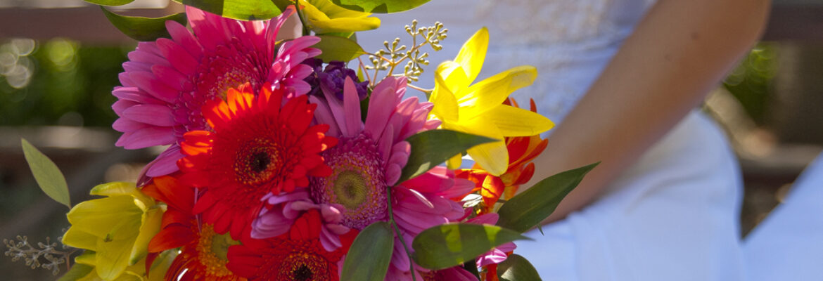 Frankie Benka Photography