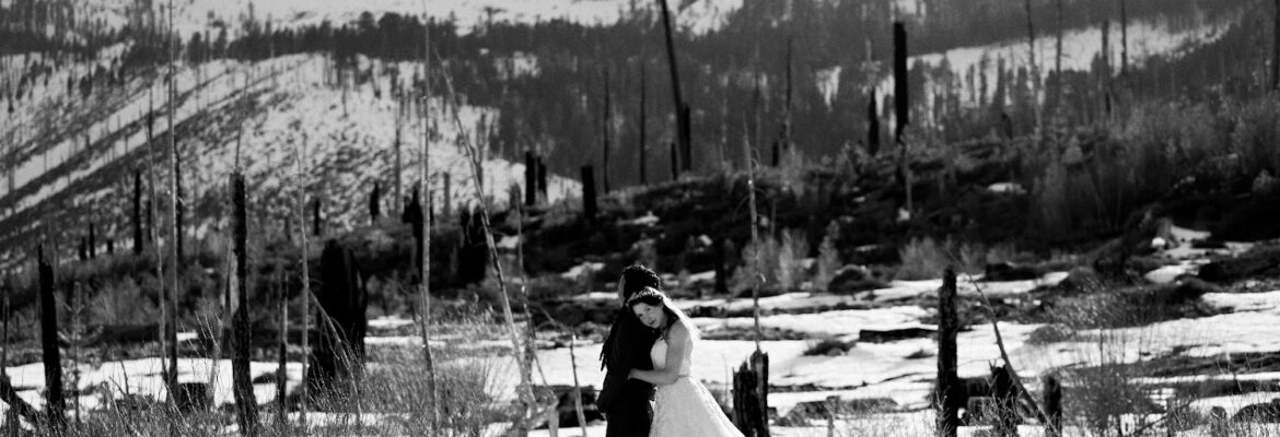 Wade Snider Photography