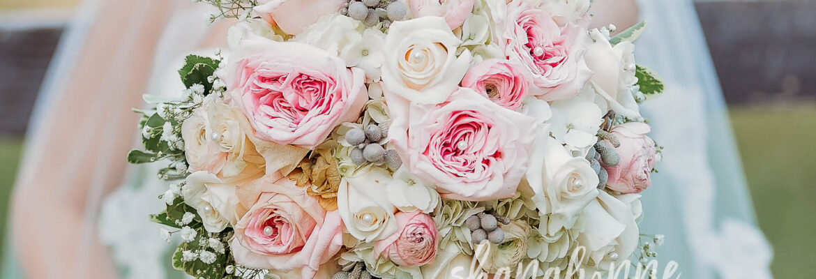 Shana Lynne Photography | Weddings & Portraits