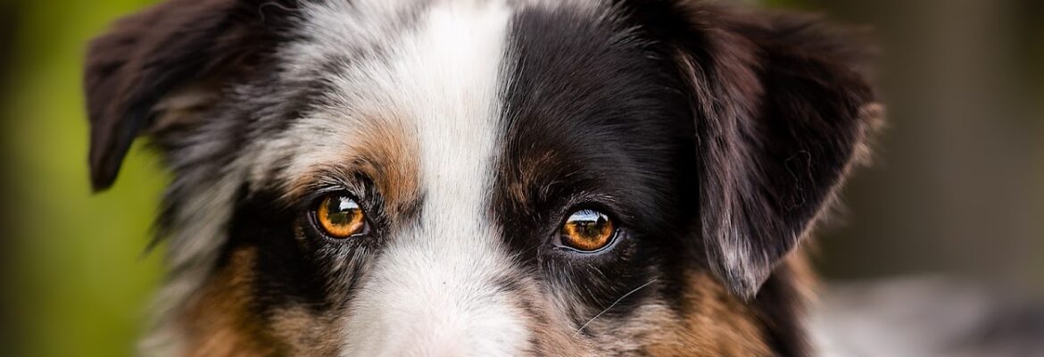 Kaytlin Winkels Photography