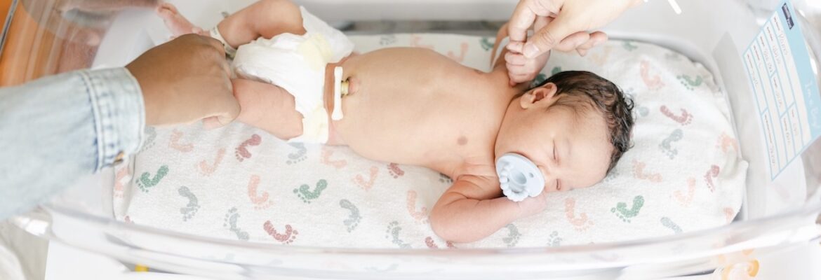 Carly Matthews Photo and Film, LLC