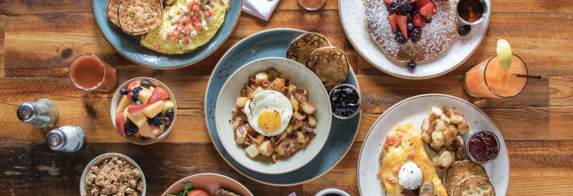 Allison McAdams Photography