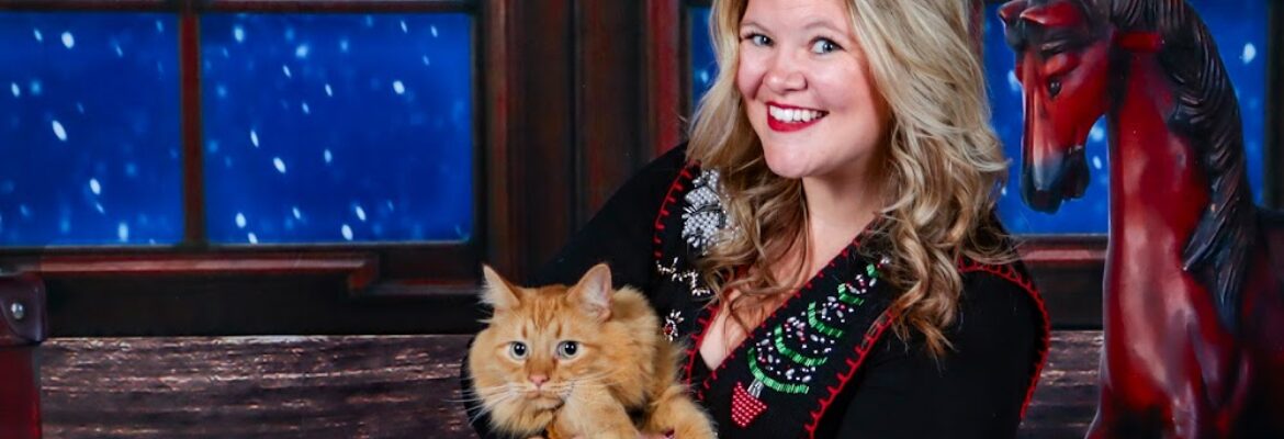 Storm Falcon Studios