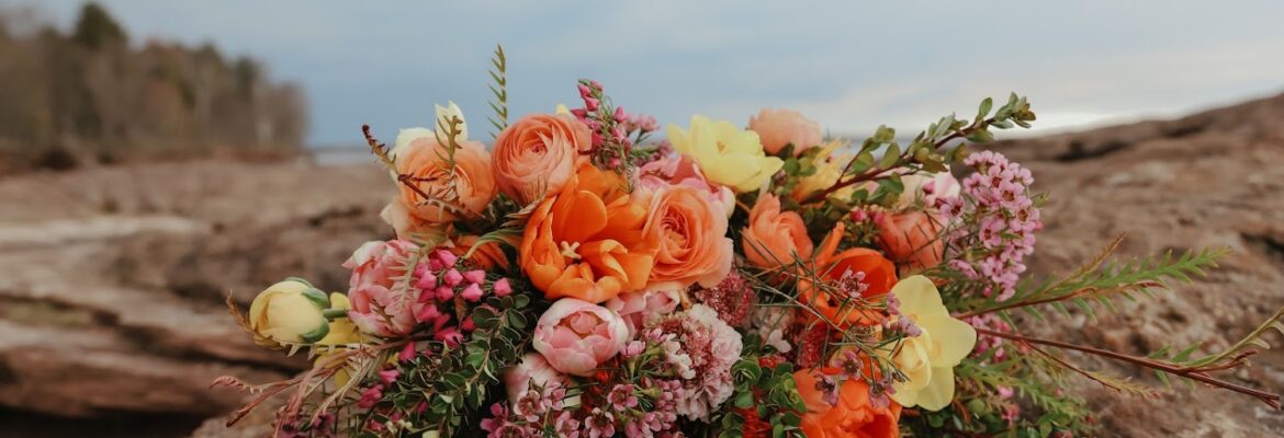 Aria Rose Photography