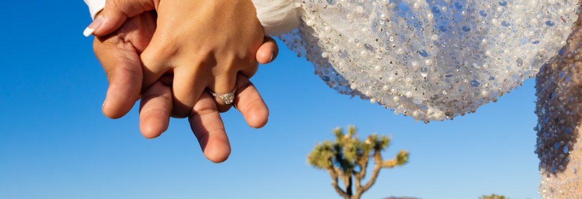 Sebastian Rivera Photography