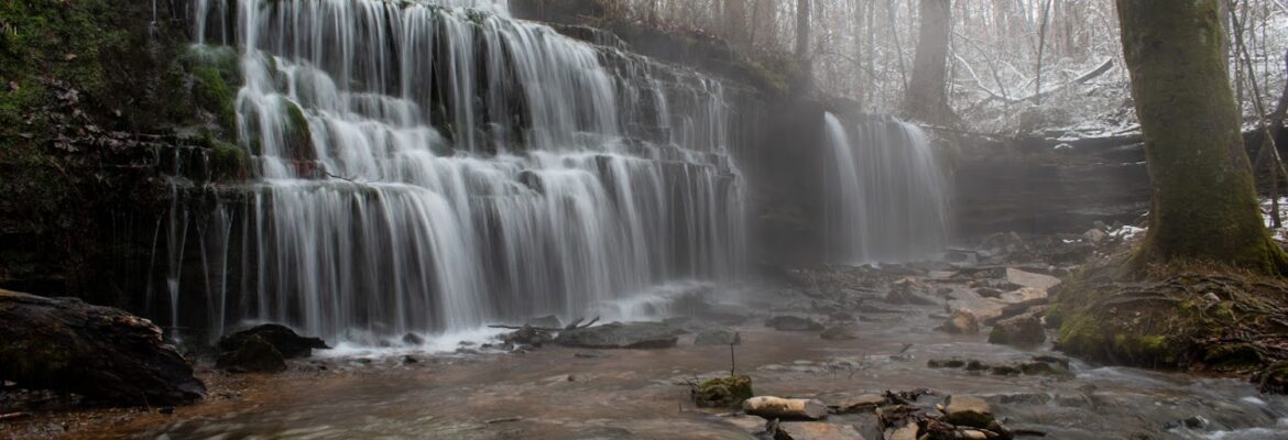 Andrea Kruszka Photography