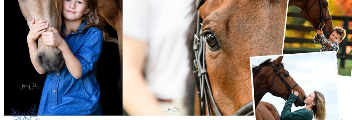 Jessie Collins Photography