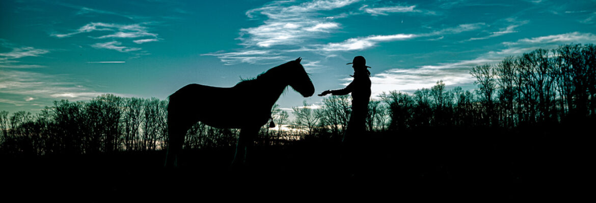 Blaze Horse Photography