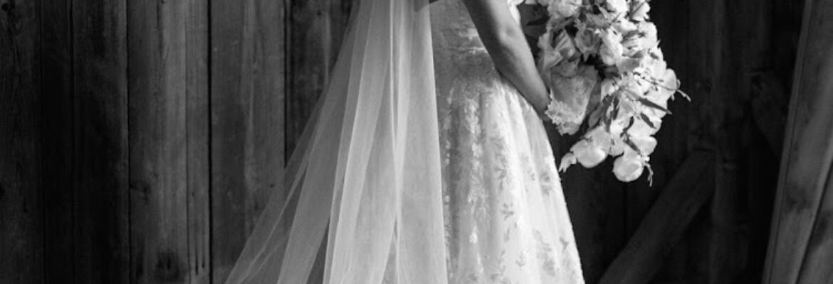 Perry Vaile Photography