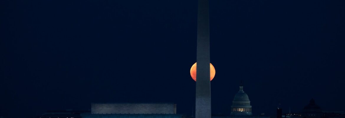 Erica Kavadias Photography